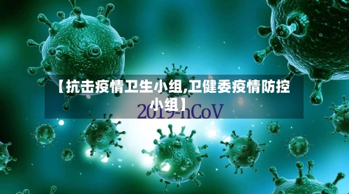 【抗击疫情卫生小组,卫健委疫情防控小组】