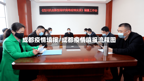 成都疫情填报/成都疫情填报流程图