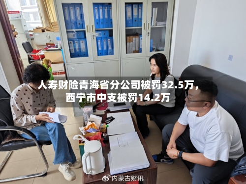 人寿财险青海省分公司被罚32.5万，西宁市中支被罚14.2万-第2张图片