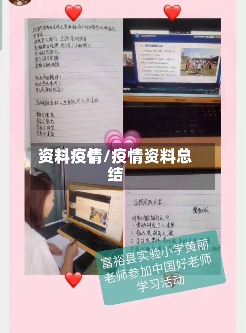 资料疫情/疫情资料总结-第3张图片