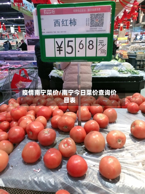 疫情南宁菜价/南宁今日菜价查询价目表