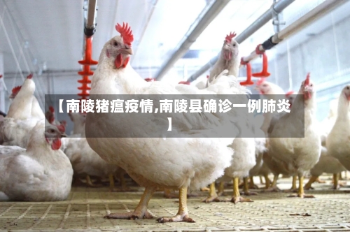 【南陵猪瘟疫情,南陵县确诊一例肺炎】-第3张图片