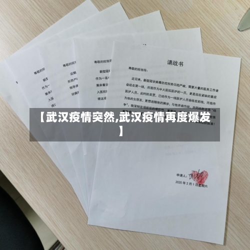 【武汉疫情突然,武汉疫情再度爆发】