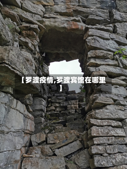 【罗渡疫情,罗渡宾馆在哪里】-第3张图片