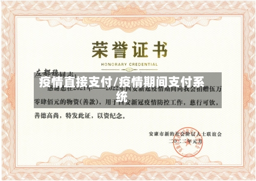 疫情直接支付/疫情期间支付系统-第2张图片