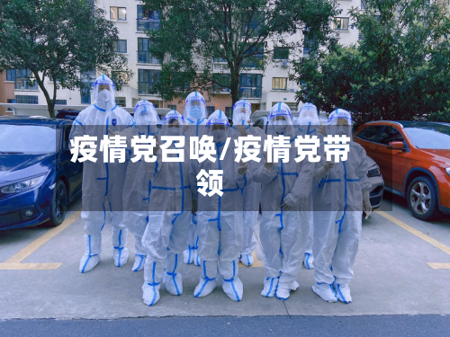 疫情党召唤/疫情党带领