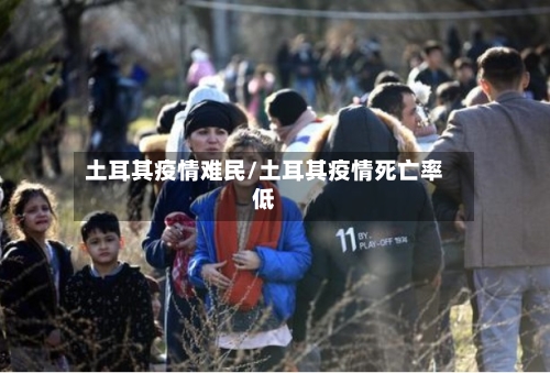 土耳其疫情难民/土耳其疫情死亡率低-第3张图片
