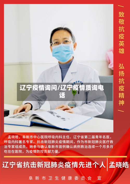 辽宁疫情询问/辽宁疫情质询电话-第2张图片