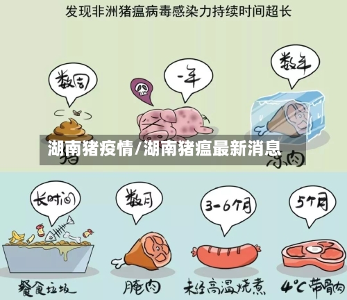 湖南猪疫情/湖南猪瘟最新消息-第2张图片