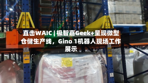 直击WAIC | 极智嘉Geek+呈现微型仓储生产线，Gino 1机器人现场工作展示-第3张图片