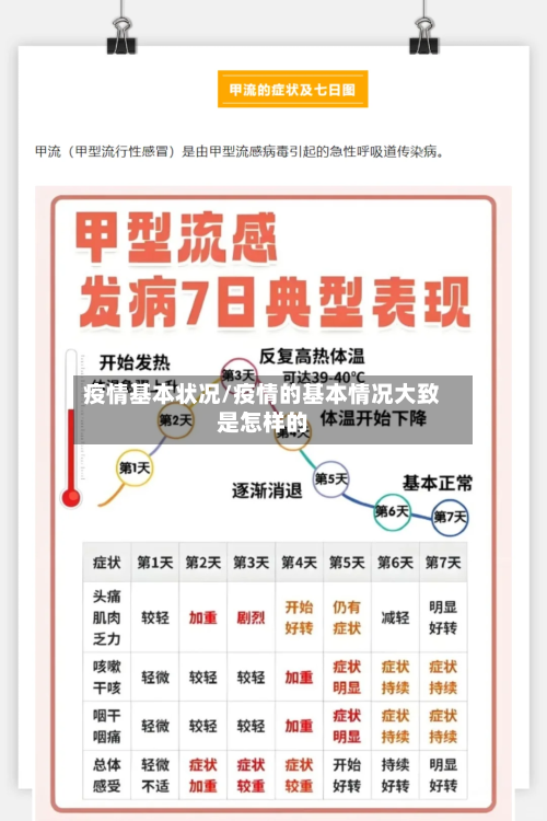 疫情基本状况/疫情的基本情况大致是怎样的