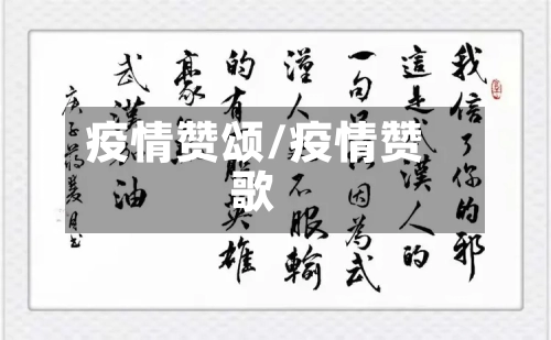 疫情赞颂/疫情赞歌-第2张图片
