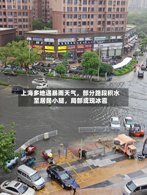 上海多地遇暴雨天气，部分路段积水至居民小腿	，局部或现冰雹-第3张图片