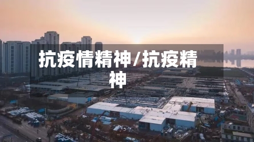 抗疫情精神/抗疫精神-第3张图片