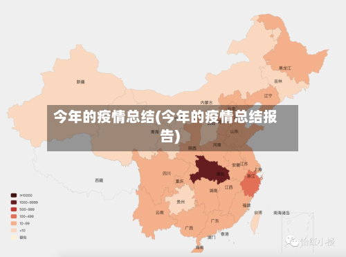 今年的疫情总结(今年的疫情总结报告)-第2张图片