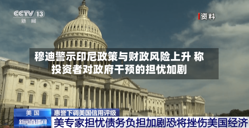 穆迪警示印尼政策与财政风险上升 称投资者对政府干预的担忧加剧-第3张图片
