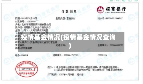 疫情基金情况(疫情基金情况查询)-第2张图片