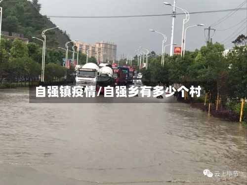 自强镇疫情/自强乡有多少个村-第2张图片