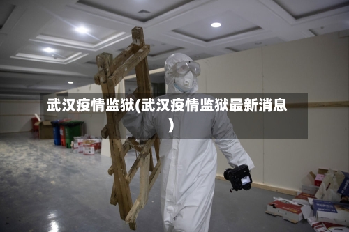 武汉疫情监狱(武汉疫情监狱最新消息)-第3张图片