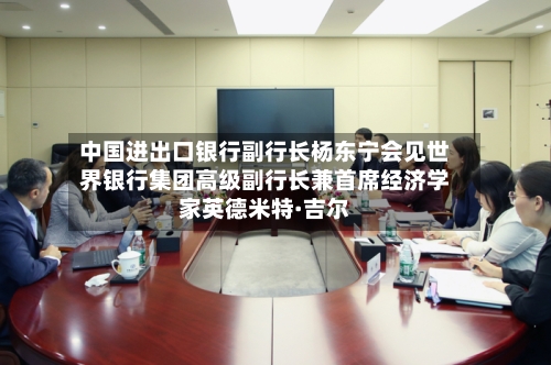 中国进出口银行副行长杨东宁会见世界银行集团高级副行长兼首席经济学家英德米特·吉尔