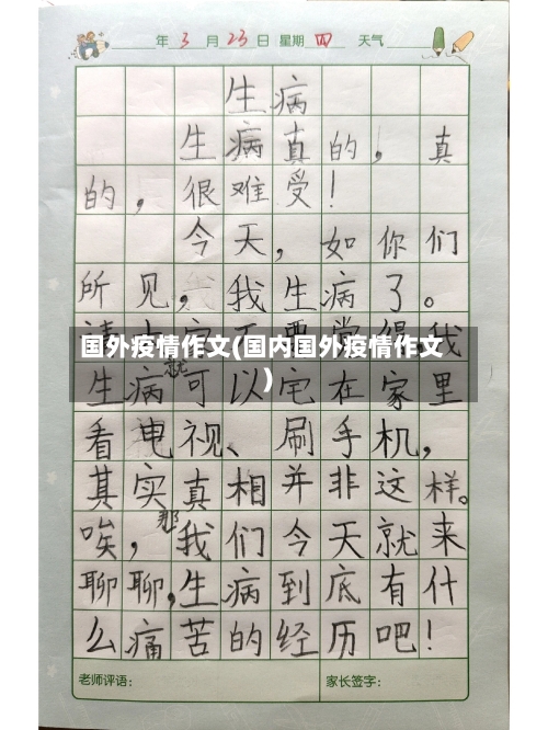 国外疫情作文(国内国外疫情作文)