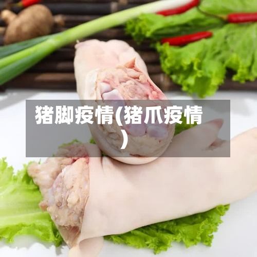 猪脚疫情(猪爪疫情)