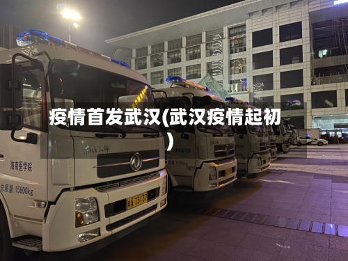 疫情首发武汉(武汉疫情起初)