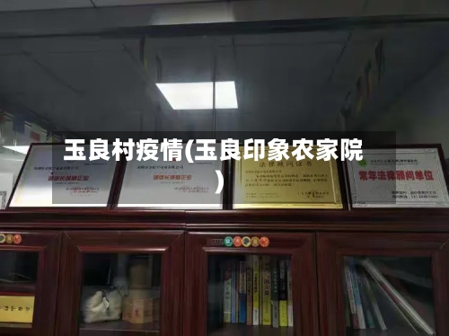 玉良村疫情(玉良印象农家院)-第2张图片