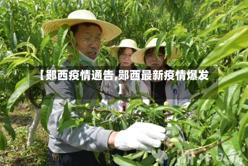 【郧西疫情通告,郧西最新疫情爆发】-第3张图片