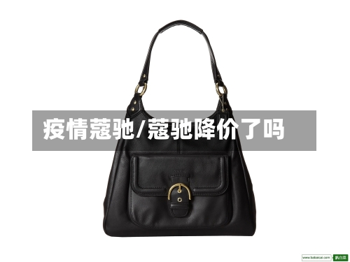 疫情蔻驰/蔻驰降价了吗