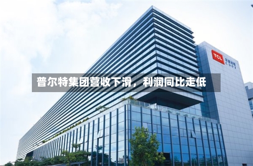 普尔特集团营收下滑，利润同比走低-第2张图片