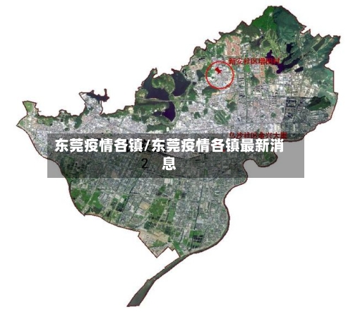 东莞疫情各镇/东莞疫情各镇最新消息