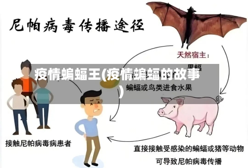 疫情蝙蝠王(疫情蝙蝠的故事)-第3张图片