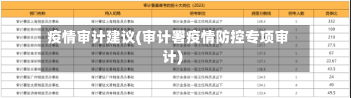 疫情审计建议(审计署疫情防控专项审计)