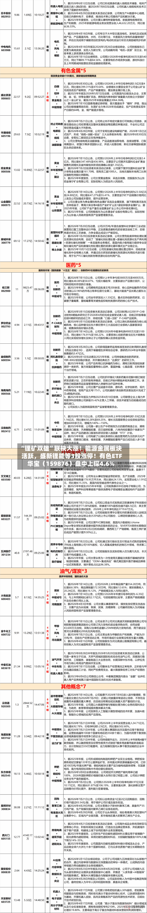 “锂矿双雄”联袂大涨！能源金属板块活跃	，盛新锂能等3股涨停！有色ETF华宝（159876）盘中上探4.6%-第3张图片