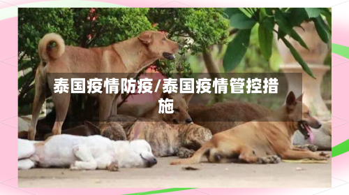 泰国疫情防疫/泰国疫情管控措施-第3张图片