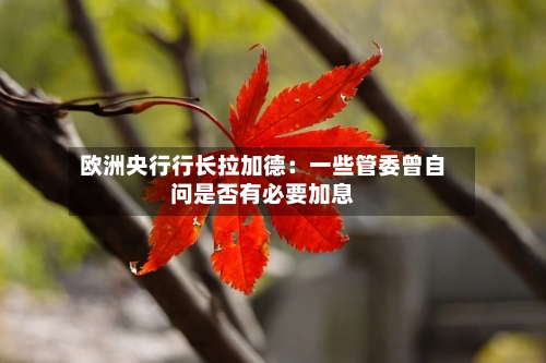 欧洲央行行长拉加德：一些管委曾自问是否有必要加息-第2张图片