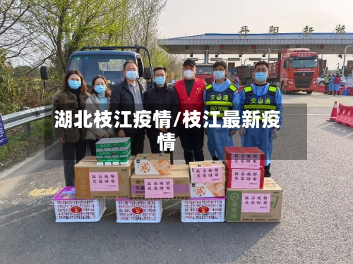 湖北枝江疫情/枝江最新疫情