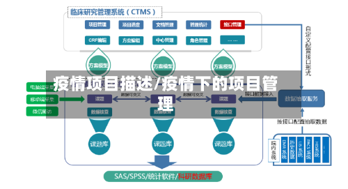 疫情项目描述/疫情下的项目管理