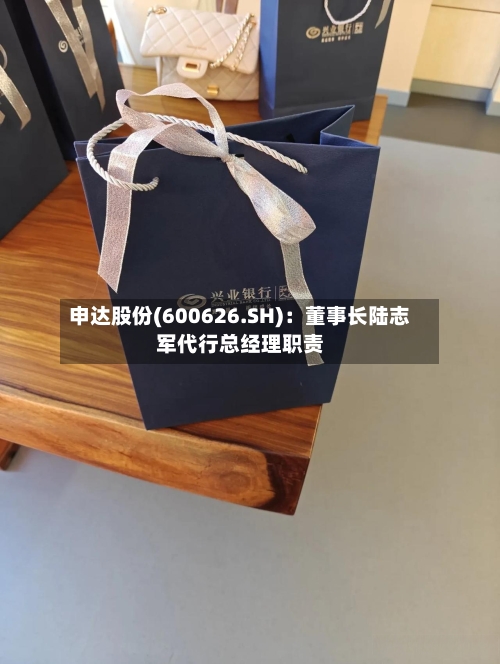 申达股份(600626.SH)：董事长陆志军代行总经理职责-第2张图片
