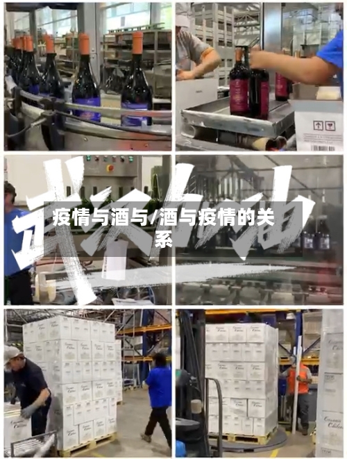 疫情与酒与/酒与疫情的关系