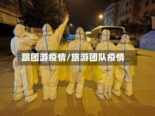 跟团游疫情/旅游团队疫情-第2张图片