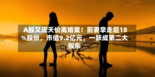 A股又现天价离婚案！前妻拿走超18%股份	，市值9.2亿元，一跃成第二大股东-第2张图片