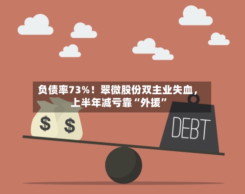 负债率73%！翠微股份双主业失血	，上半年减亏靠“外援”-第3张图片