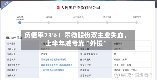 负债率73%！翠微股份双主业失血，上半年减亏靠“外援”-第2张图片