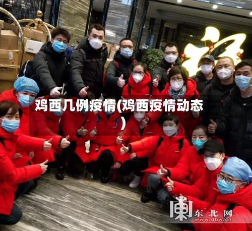 鸡西几例疫情(鸡西疫情动态)-第2张图片