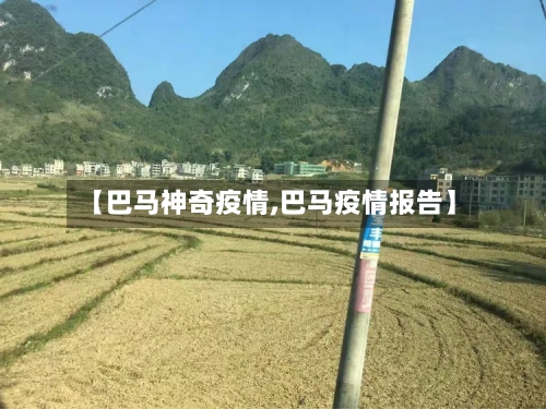【巴马神奇疫情,巴马疫情报告】-第3张图片