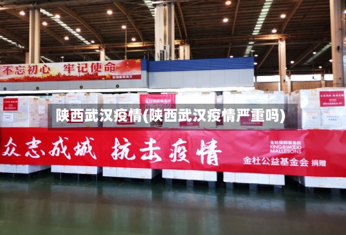 陕西武汉疫情(陕西武汉疫情严重吗)