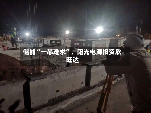 储能“一芯难求	”	，阳光电源投资欣旺达-第2张图片