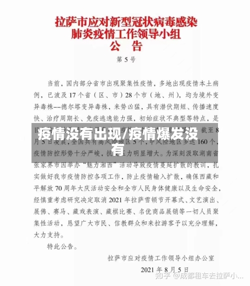 疫情没有出现/疫情爆发没有-第2张图片